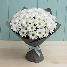Букет цветов из:  Хризантемы #REPLACE_PRED# Вахруши