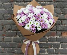 Букет цветов из:  Хризантемы #REPLACE_PRED# Вахруши