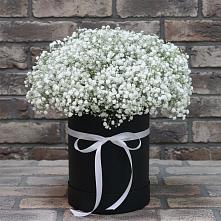 Цветочная композиция из Гипсофила в шляпной коробке #REPLACE_PRED# Вахруши