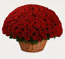 Премиум букет из: Розы в Вахруши