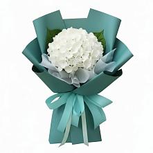 Букет цветов из:  Гортензия #REPLACE_PRED# Вахруши